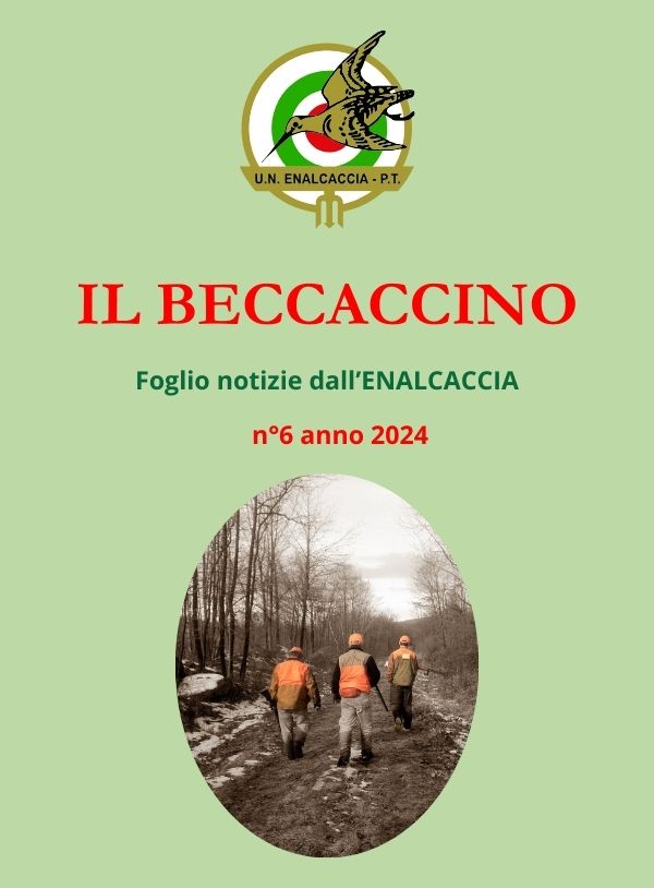 Il Beccaccino nr. 6 – 2024