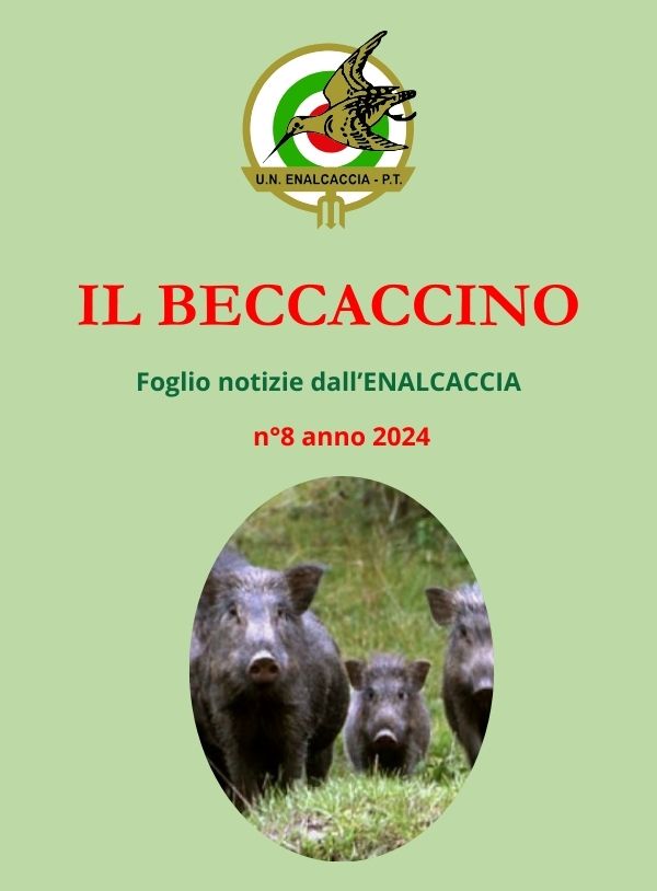 Il Beccaccino nr. 8 – 2024