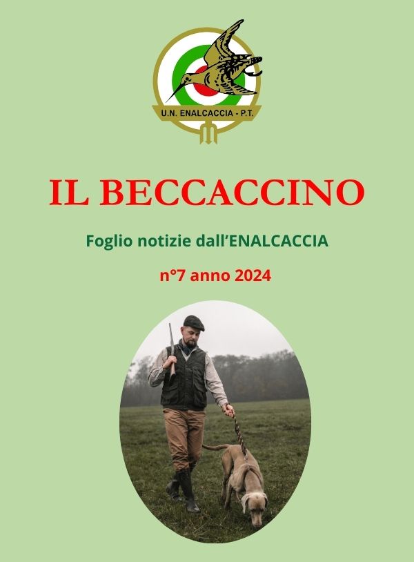 Il Beccaccino nr.7 – 2024