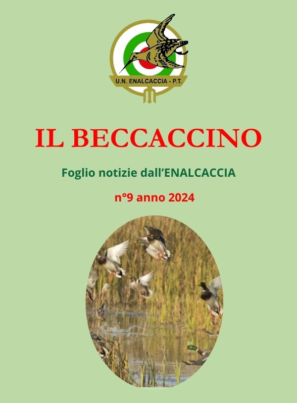 Il Beccaccino nr. 9 – 2024