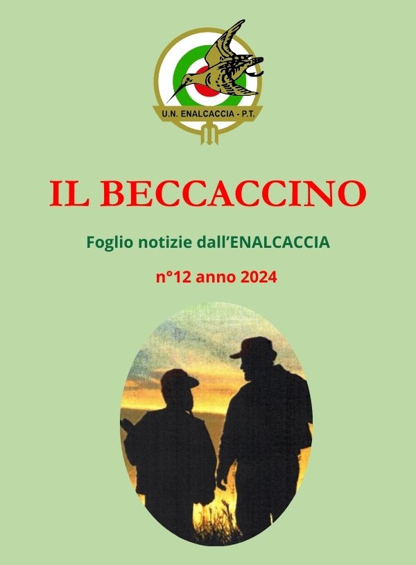 Il Beccaccino nr. 12 – 2024