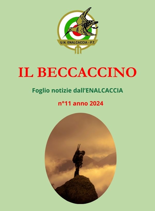 Il Beccaccino nr. 11 – 2024