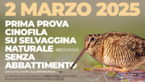 2 Marzo 2025 – 1 prova cinofila su selvaggina naturale (beccacce) senza abbattimento