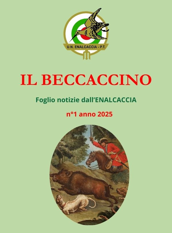 Il Beccaccino nr. 1 – 2025