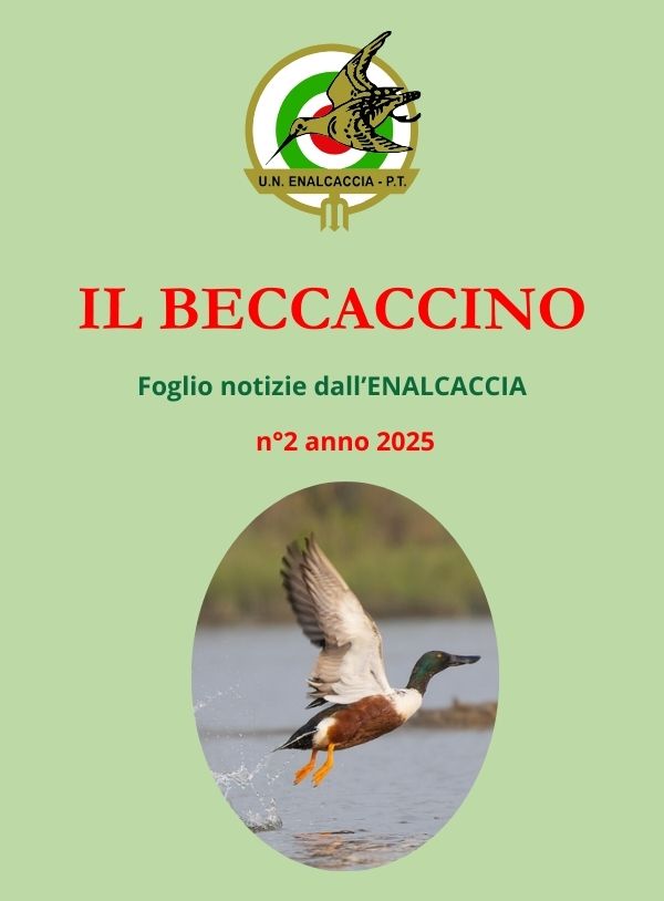 Il Beccaccino nr. 2 – 2025